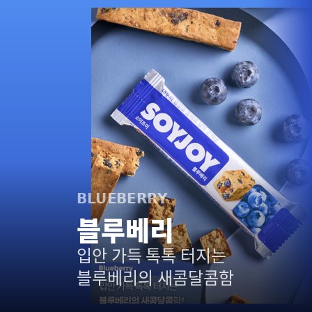 소이조이 블루베리 — 입안 가득 톡톡 터지는 새콤달콤함